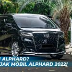 pajak mobil alphard 2022